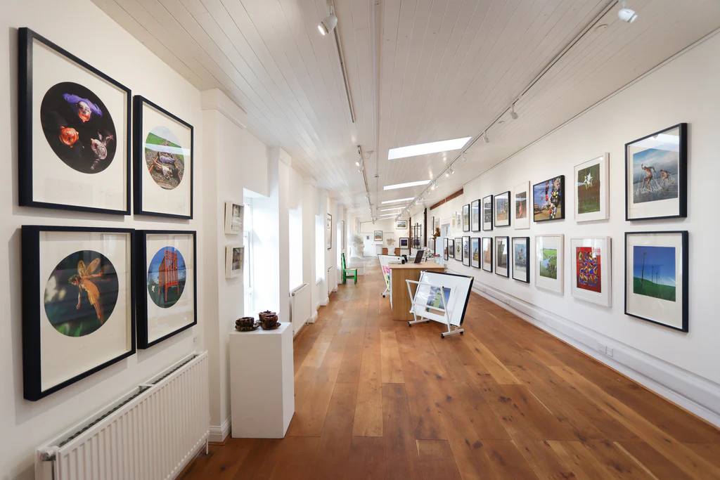 Own Original Contemporary Art